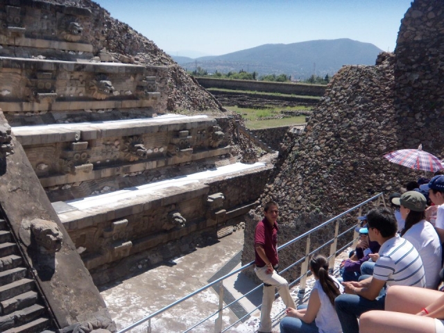 Guias especializados